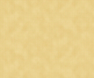 Toolbox Basics II R540554-Honey