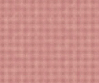 Toolbox Basics II R540554-Rose