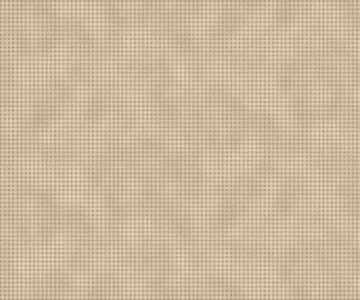 Toolbox Basics II R540554-Tan