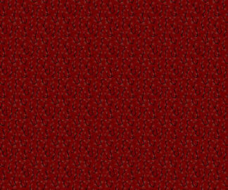 Sturbridge Floral Petites R170717D-Red